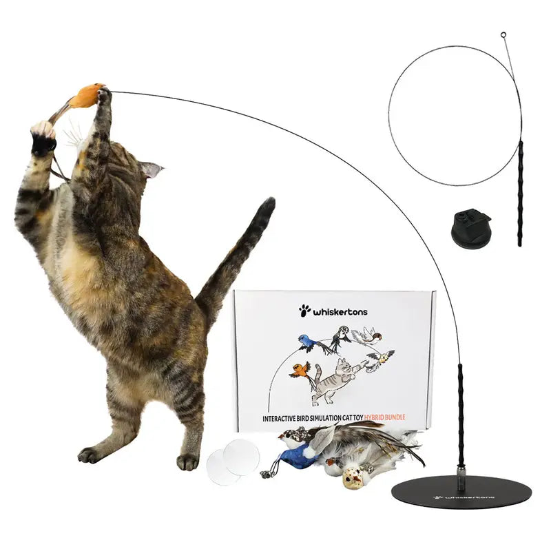 Engaging Interactive Bird Simulation Toy Set for Cats
