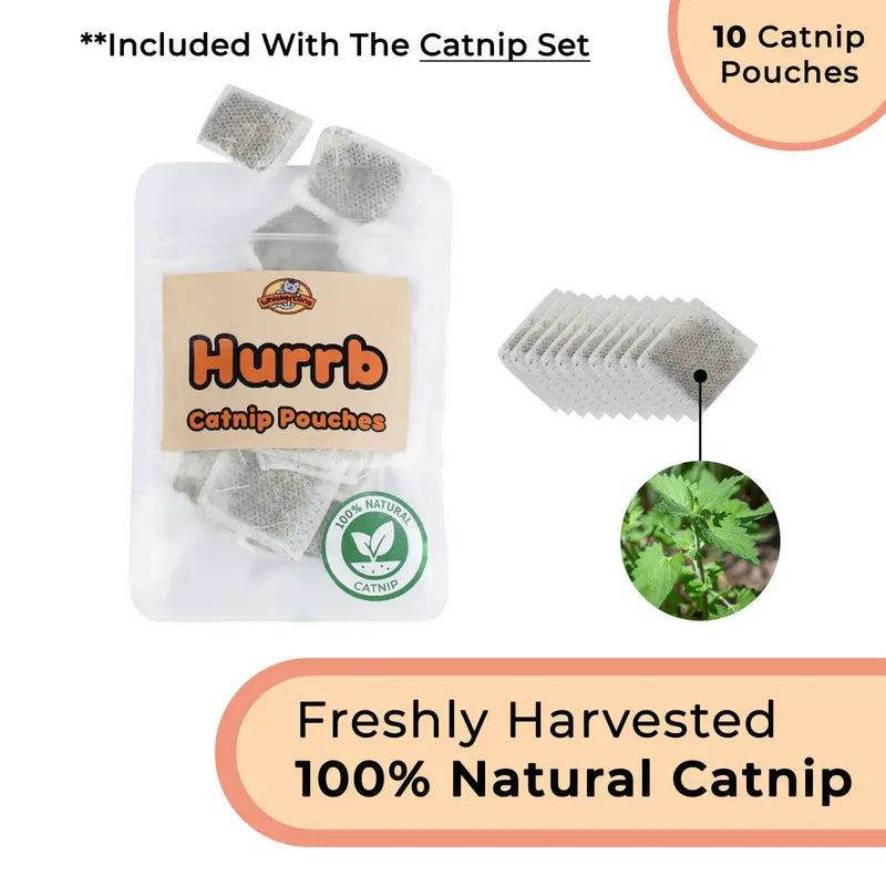 Engaging Interactive Bird Simulation Toy Set for Cats