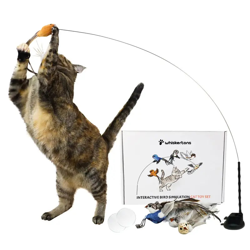 Engaging Interactive Bird Simulation Toy Set for Cats