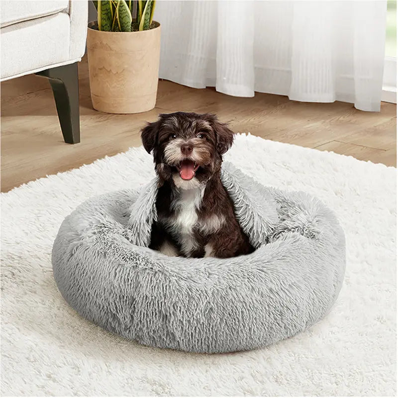 Cozy Hooded Donut Pet Bed with Blanket - Calming Design for Dogs & Cats in Luna/Grey