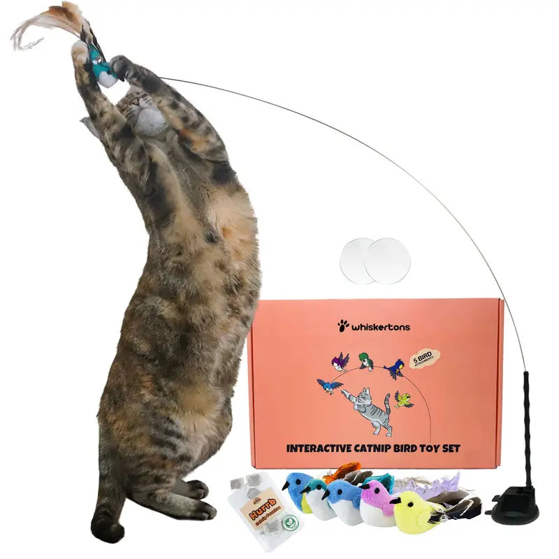 Engaging Interactive Bird Simulation Toy Set for Cats
