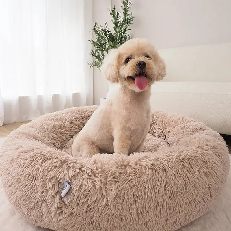 Cozy Oatmeal Calming Donut Pet Bed for Ultimate Comfort