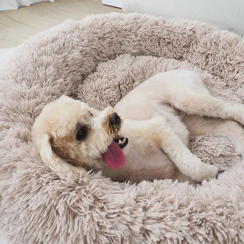 Cozy Oatmeal Calming Donut Pet Bed for Ultimate Comfort