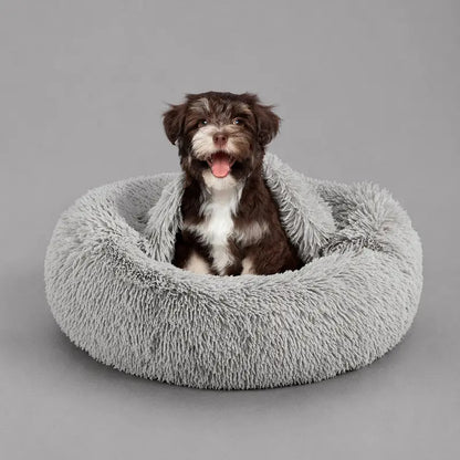 Cozy Hooded Donut Pet Bed with Blanket - Calming Design for Dogs & Cats in Luna/Grey
